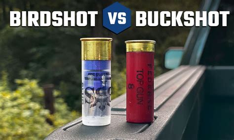 Birdshot Vs. Buckshot | Gun News | Firearms Updates | Gun Blog | Gun ...