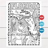 Florida State Symbols Coloring Pages sketch template