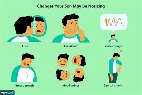 Puberty changes in boys | Puberty in boys, Puberty, Puberty changes