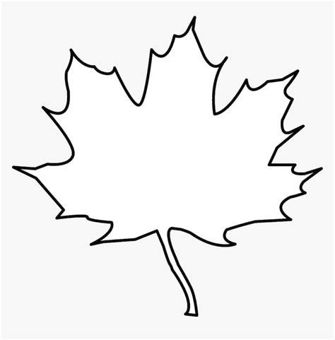 Leaf Outline Tree Clipart Free Cliparts Images On Transparent - Transparent Background Leaf ...