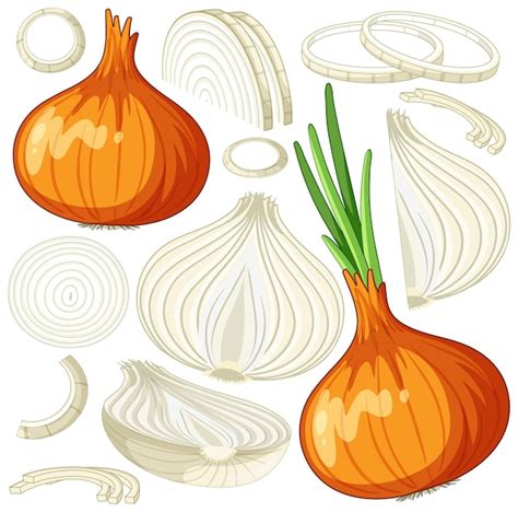 Free Vector | Set of onion cartoon isolated