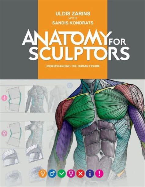 Best anatomy books for artists | Anatomy For Sculptors