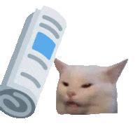 bonkcat - Discord Emoji