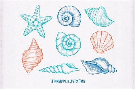 Shells | Shell drawing, Scary art, Doodle inspiration