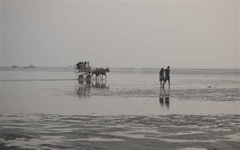 Scene at Sunset at Alibag Beach, Maharashtra, India Editorial Photo ...