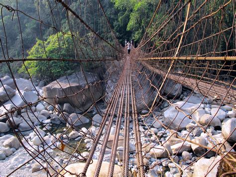 Random Wanderings!: Living Root Bridges of Meghalaya