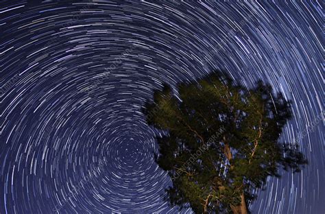 Star Trails - Stock Image - C013/0105 - Science Photo Library