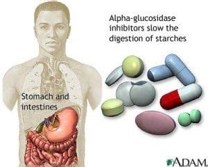 Alpha-Glucosidase Inhibitors - Diabetic Live