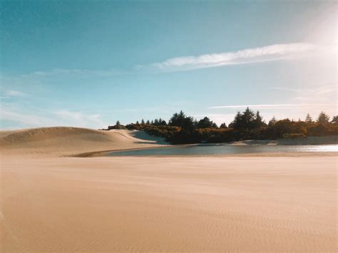 Oregon Dunes