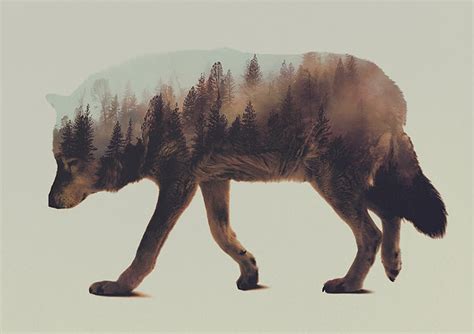 Norwegian Woods: Artworks by Andreas Lie | Daily design inspiration for ...