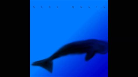 52Hz Whale - The Loneliest Whale - YouTube