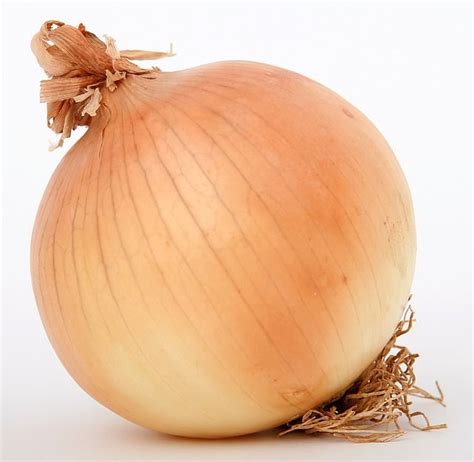 Different Onion Varieties Lists That You Should Know - Sumo Gardener