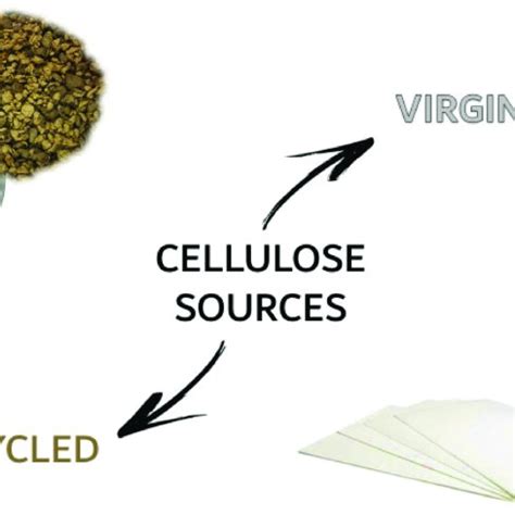 Cellulose sources considered for the production of cellulose nanofibers. | Download Scientific ...