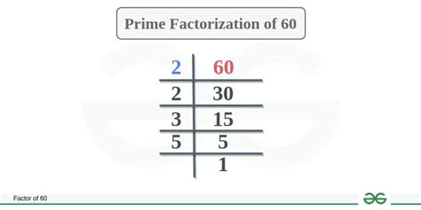 Factors of 60 | Prime Factorization and Factor Tree Method