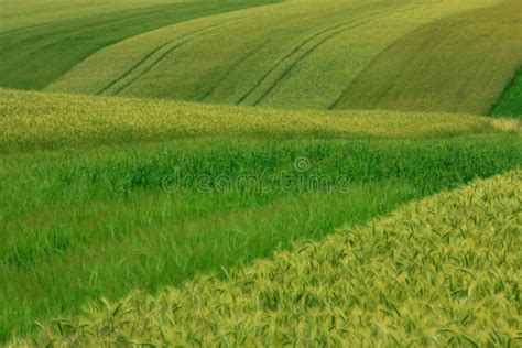 Harmony in nature stock photo. Image of country, crop - 18779180