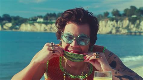 Harry Styles' "Watermelon Sugar" Video is an Ode to "Touching"