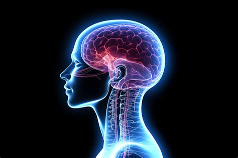 The Effects of Cocaine on the Brain | Cocaine Side Effects | NC