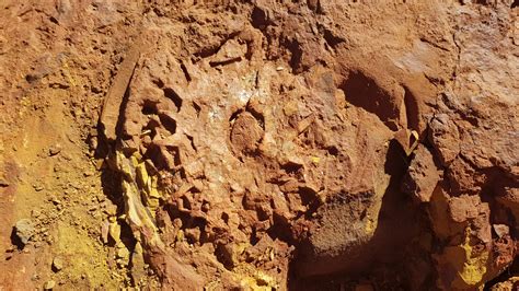 Found in the Pilbara Western Australia, in Archean rock. Any thoughts ...