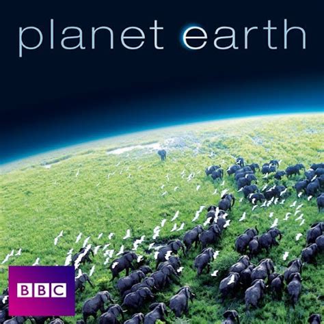 Planet Earth - TV on Google Play