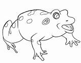 Crazy Frogs Coloring Pages  Cool sketch template