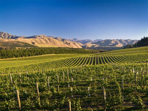 The Top 10 Things to Do in Marlborough, New Zealand | Kayak New Zealand