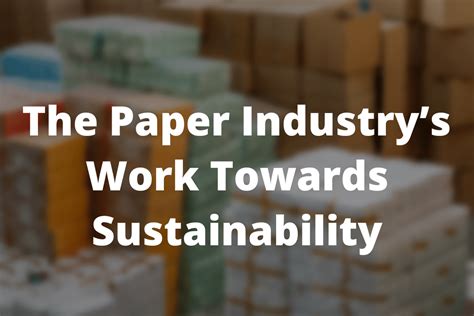 The Paper Industry’s Work Towards Sustainability | Dalmec