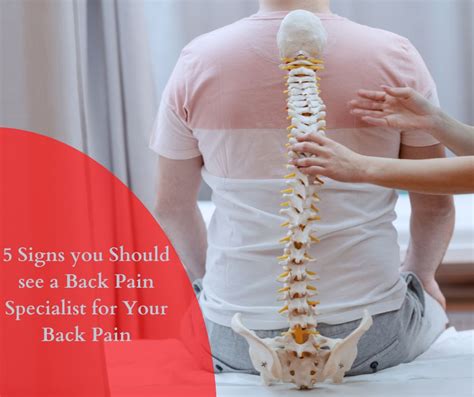 5 Signs you Should see a Back Pain Specialist for Your Back Pain | Dr ...