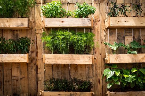 10 Hanging Vegetable Garden Ideas and How Getting Started - Plants ...