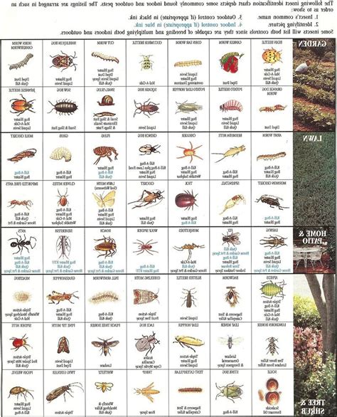 Pest Identification: Garden Pest Identification Chart