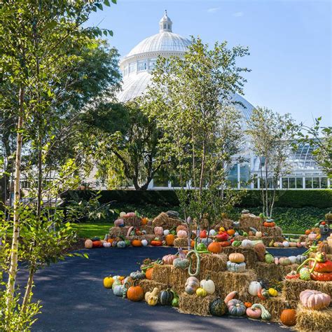 Enjoy Fall’s Spectacle at The New York Botanical Garden | Luxe Beat ...