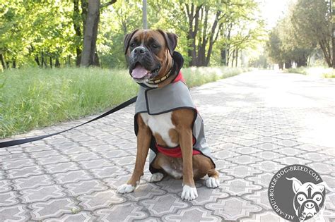 Boxer Winter Coat to Warm your favourite Pet [H14##1035 Boxer Winter ...