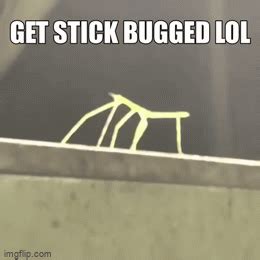 Get stick bugged LOL - Imgflip