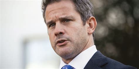 Anti-Trump stand clouds Adam Kinzinger's future | Crain's Chicago Business