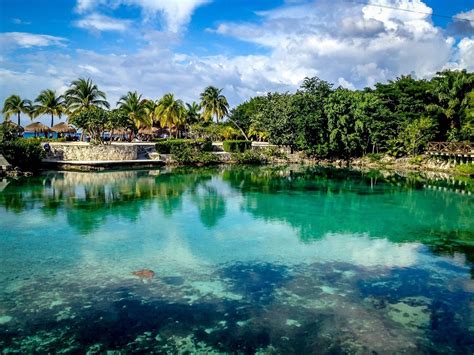 The Complete Guide to Chankanaab National Park in Cozumel, Mexico