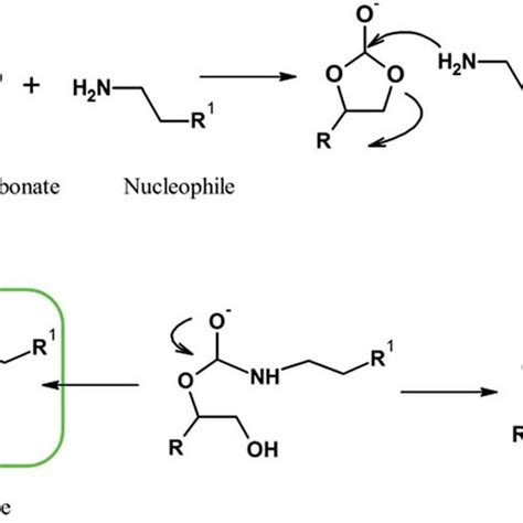 Ring Opening Polymerization (ROP) mechanism. | Download Scientific Diagram