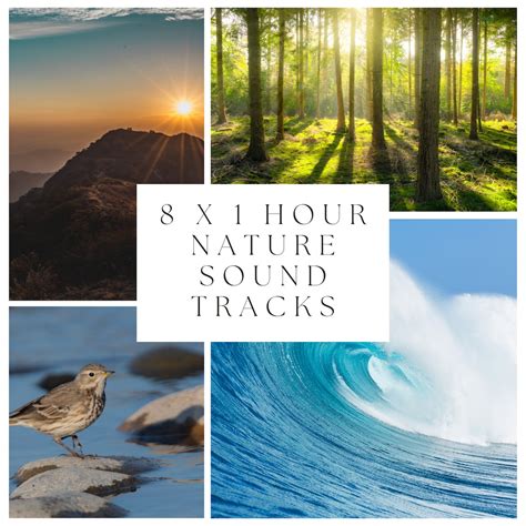 8 X 60 Minute Royalty-free Nature Sound Recordings Meditation Sounds ...