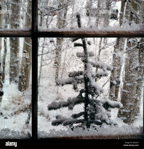 Looking through a snowy window at a cold snowy scene outdoors Stock Photo - Alamy