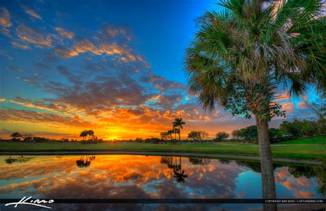 Palm Tree Sunset at Golf Course Abacoa Jupiter Florida