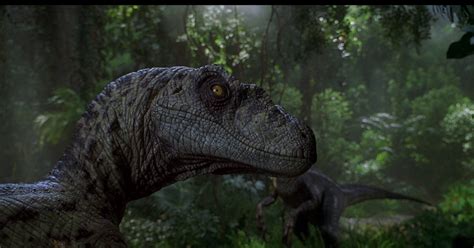 20 Times the Jurassic Park Movies Actually Used Real Science