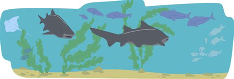 1 Sharks In Zoo Illustrations - Free in SVG, PNG, EPS - IconScout