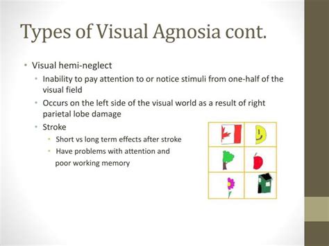 PPT - Agnosia PowerPoint Presentation - ID:2678587