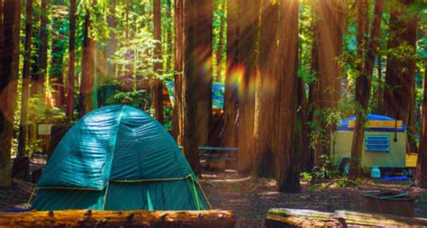 Sequoia National Park Camping | Insider Families