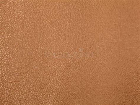 Light Brown Leather Texture Background Stock Image - Image of style ...