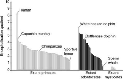 Bar graph of the encephalisation quotients (EQs) of extant primates and... | Download Scientific ...