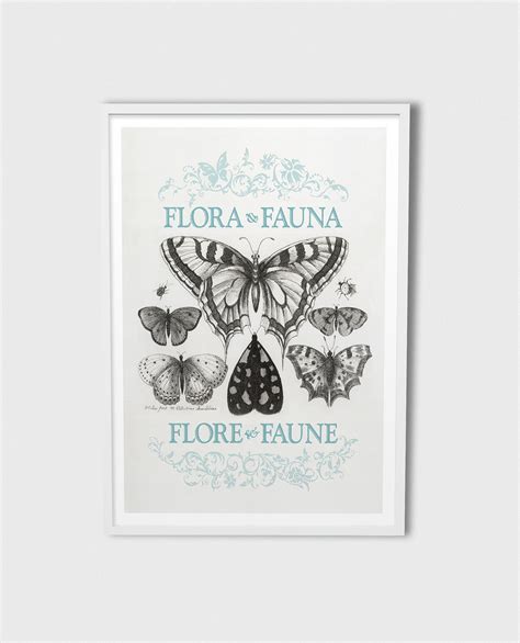 Flora & Fauna / Exhibition on Behance