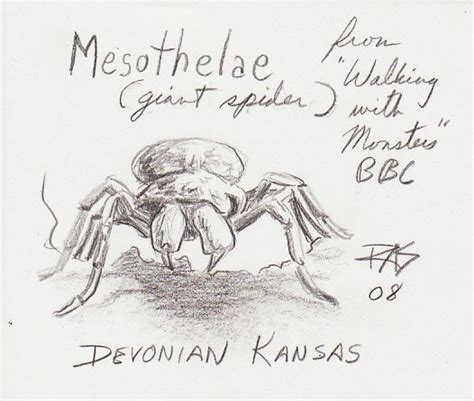 Mesothelae spider by robertsloan2 on DeviantArt