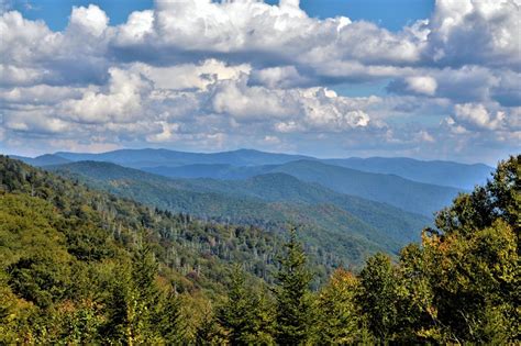 Cades Cove Hiking Trails - Smoky Mountain Travel Guide