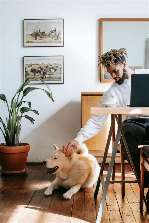 Trendy African American man stroking dog while working on netbook at home · Free Stock Photo