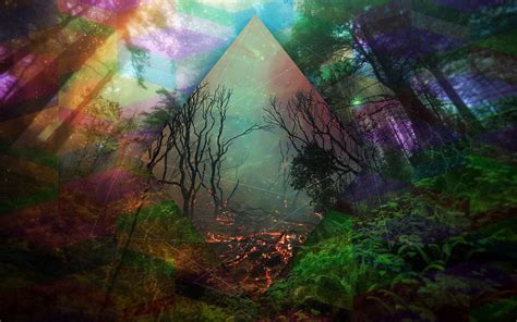 Psychedelic Forest Wallpapers - Top Free Psychedelic Forest Backgrounds - WallpaperAccess