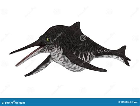 3D Rendering Ichthyosaur Shonisaurus on White Stock Illustration - Illustration of reptile ...